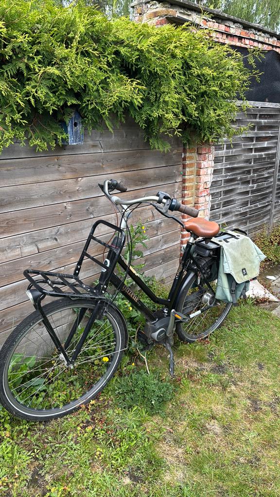 Gazelle miss grace electrisch, Ophalen, Gebruikt, Velgrem, Versnellingen