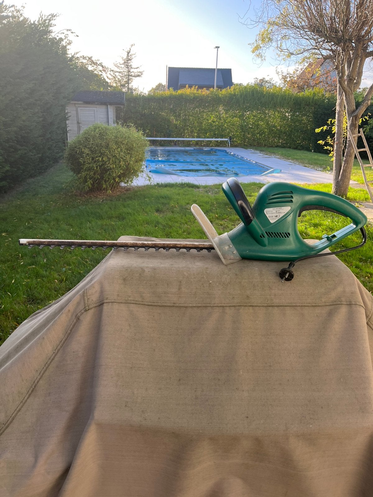 Prima gereedschap(bladblazers en 2 haagscharen, Jardin & Terrasse, Enlèvement, Utilisé, Électrique