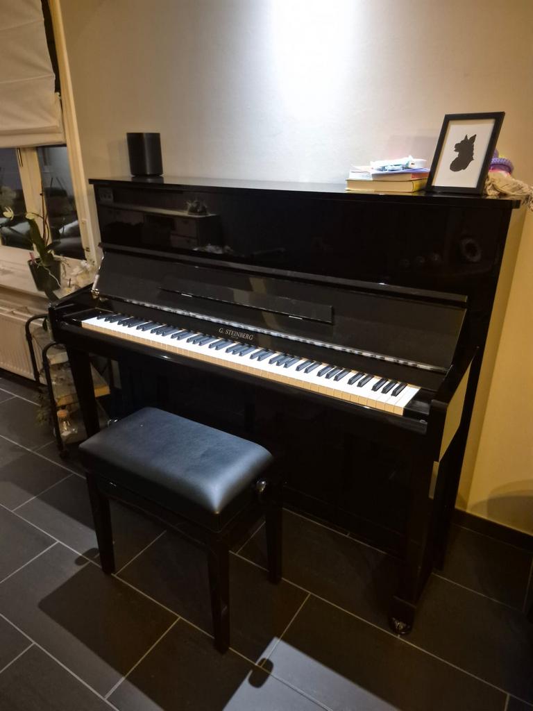 Steinberg - Piano, Enlèvement, Neuf, Noir, Piano