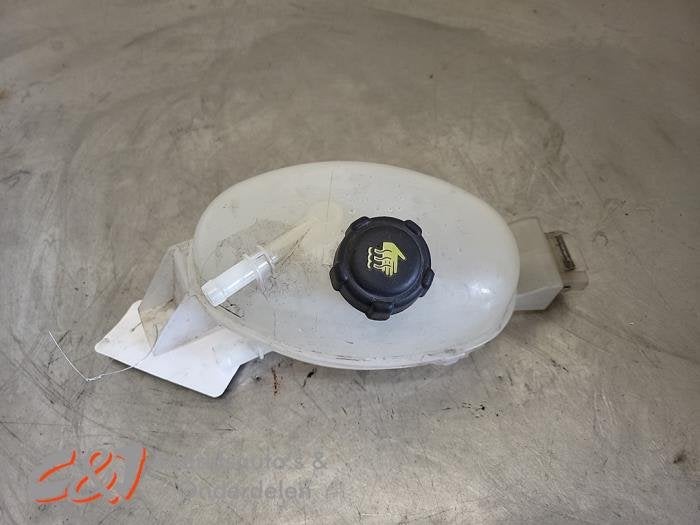 Réservoir d'expansion d'un Nissan Interstar, -, 3 mois de garantie, Utilisé, -