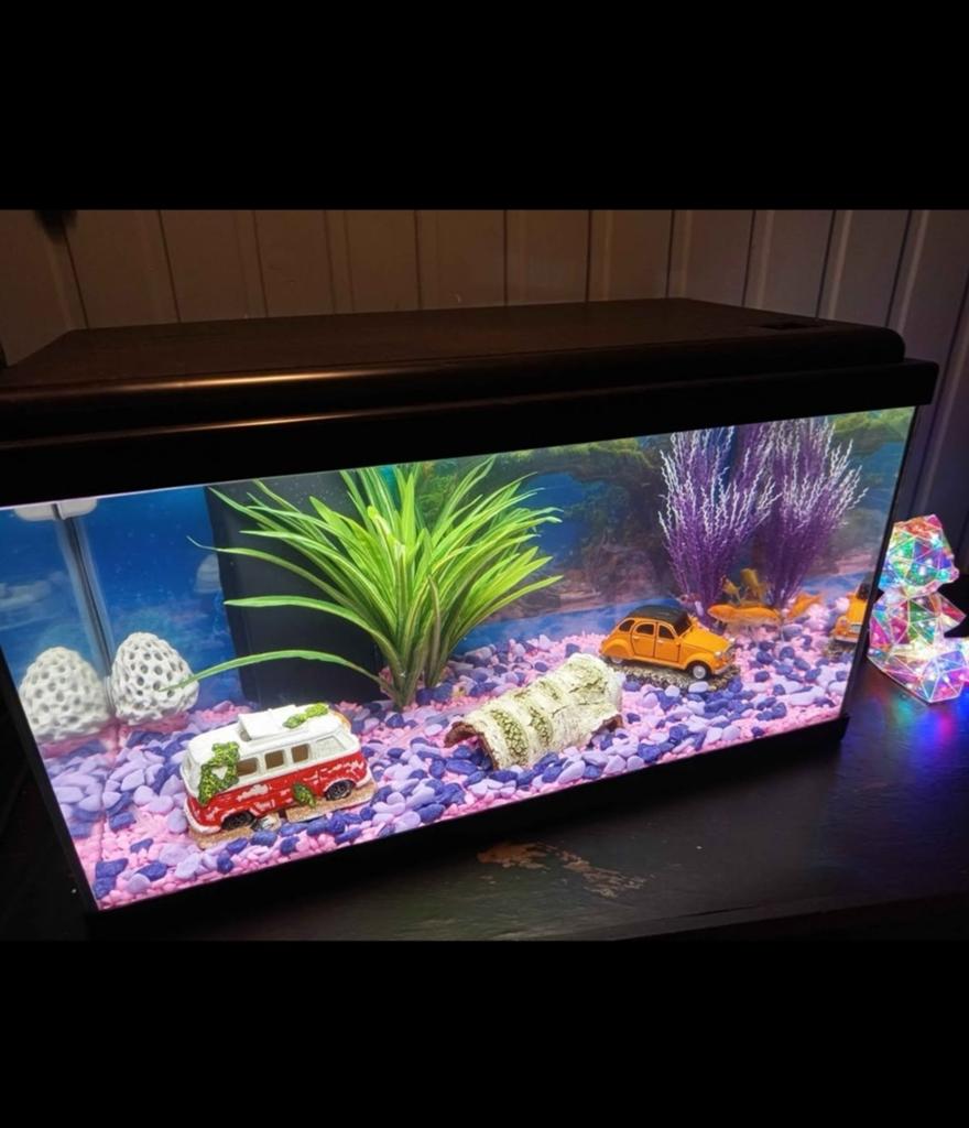 Aquarium met vissen en alle toebehoren te koop
Alles werd 2m, Ophalen