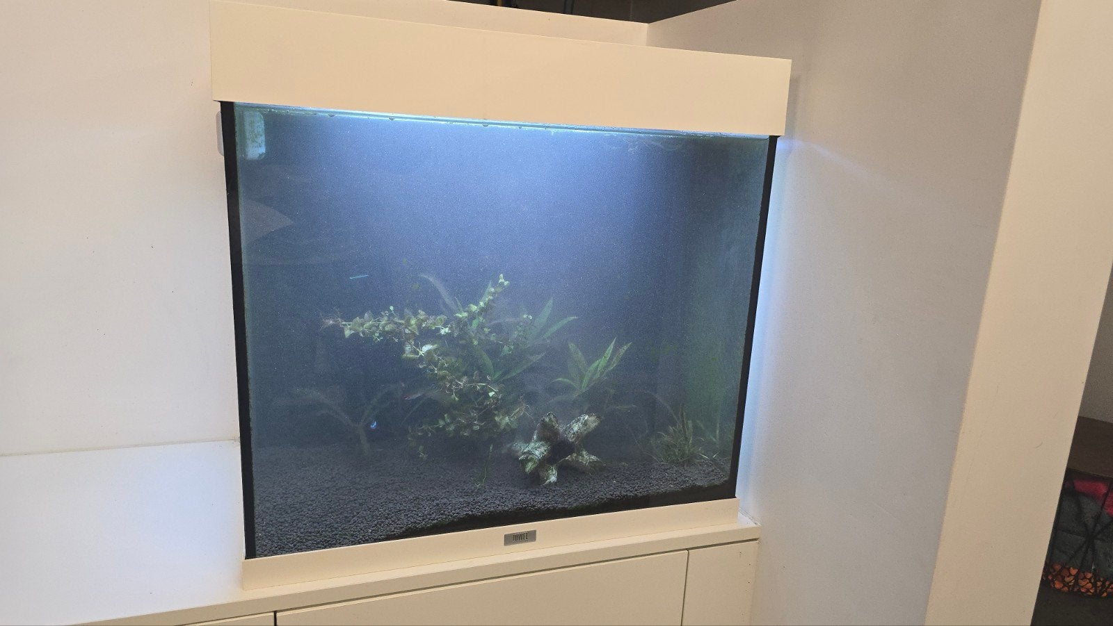 Aquarium Jewel Lido 120, Dieren en Toebehoren, Ophalen