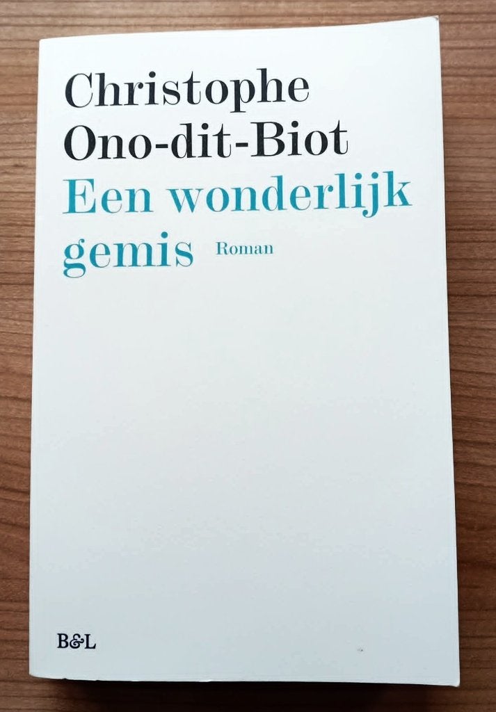Een wonderlijk gemis / Christophe Ono-dit-Biot, Ophalen, Nieuw