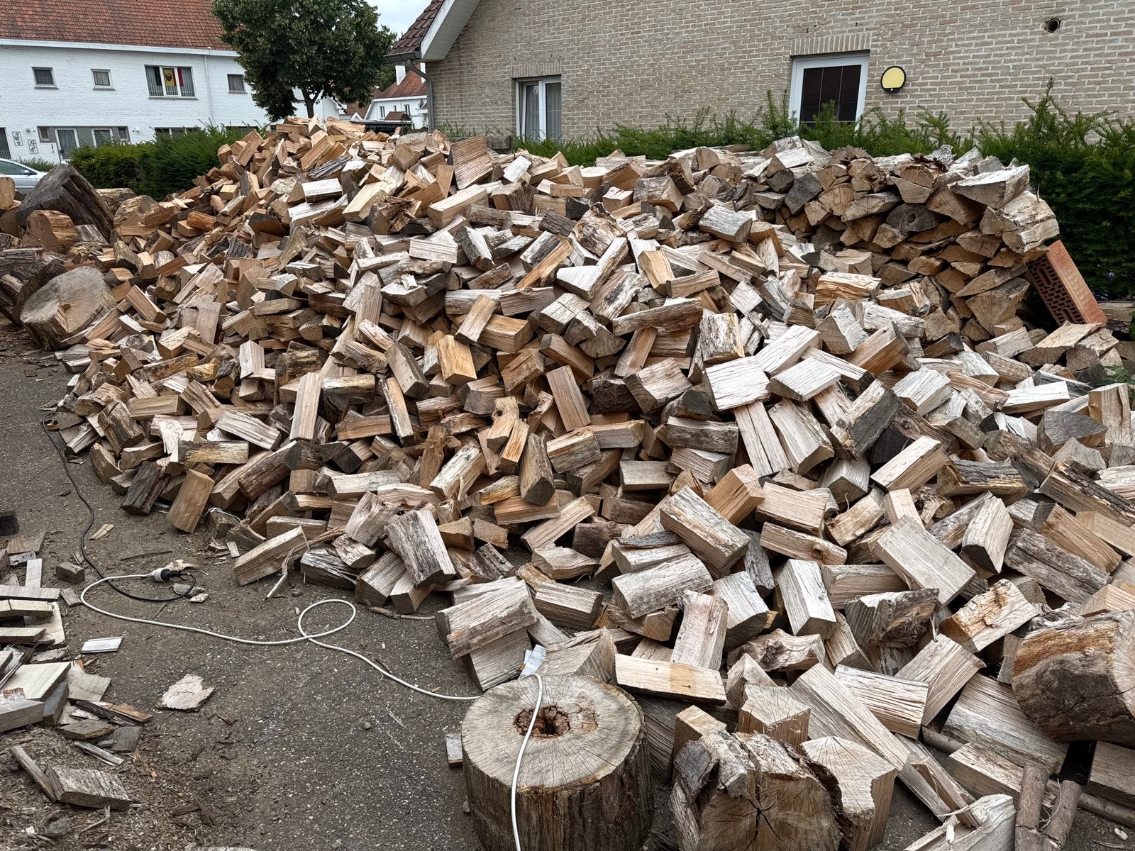 Grote partij eiken hout te koop, Tuin en Terras, Brandhout, Ophalen, Eikenhout, Stammen