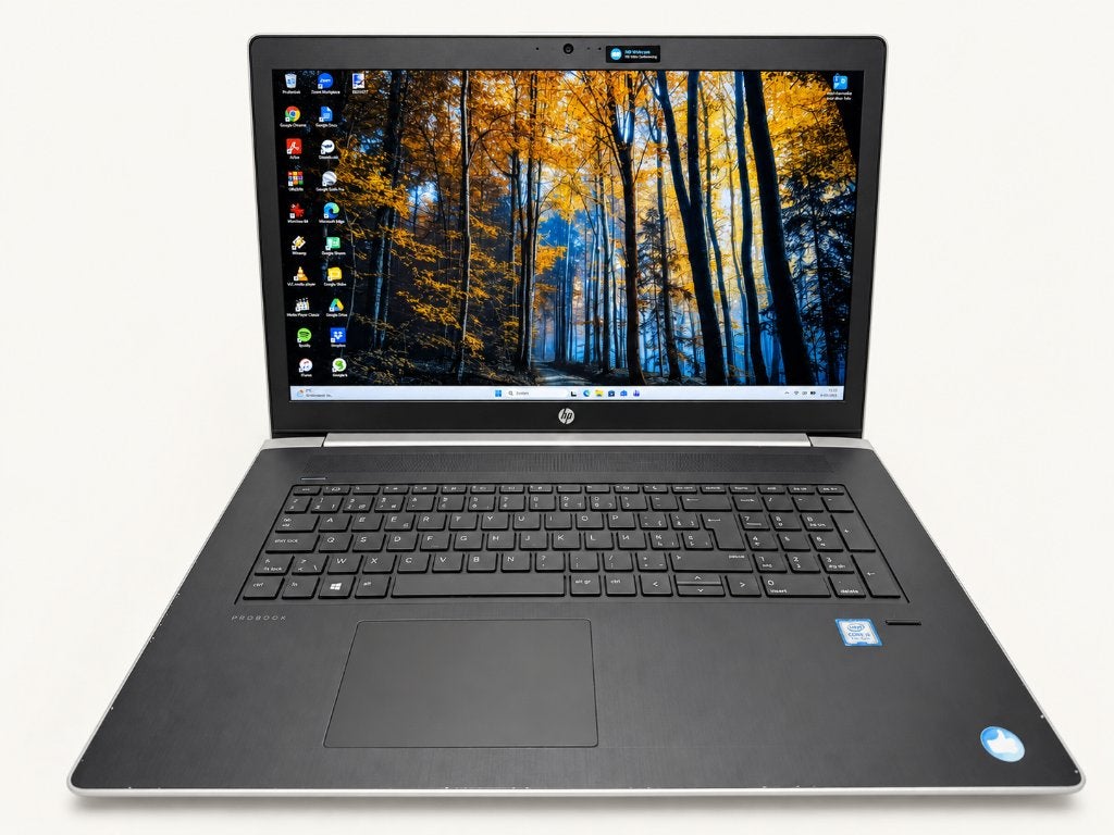 Laptop HP ProBook, 17.3", intel i5, 16 GB Ram, 256 SSD, Hp, 256 GB, Enlèvement ou Envoi, 17 pouces ou plus