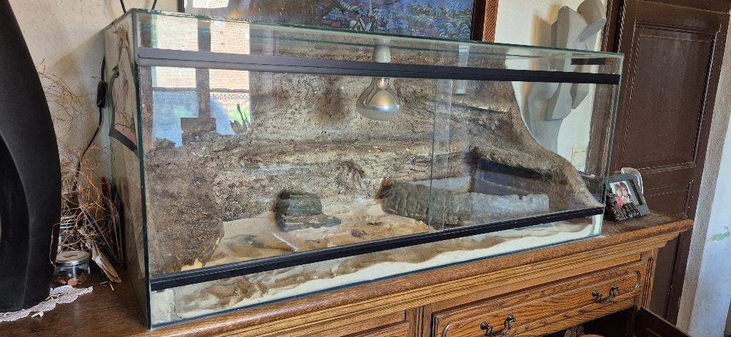 Terrarium 120x50x50, Dieren en Toebehoren, Reptielen en Amfibieën | Toebehoren, Ophalen, Zo goed als nieuw, Terrarium of Paludarium
