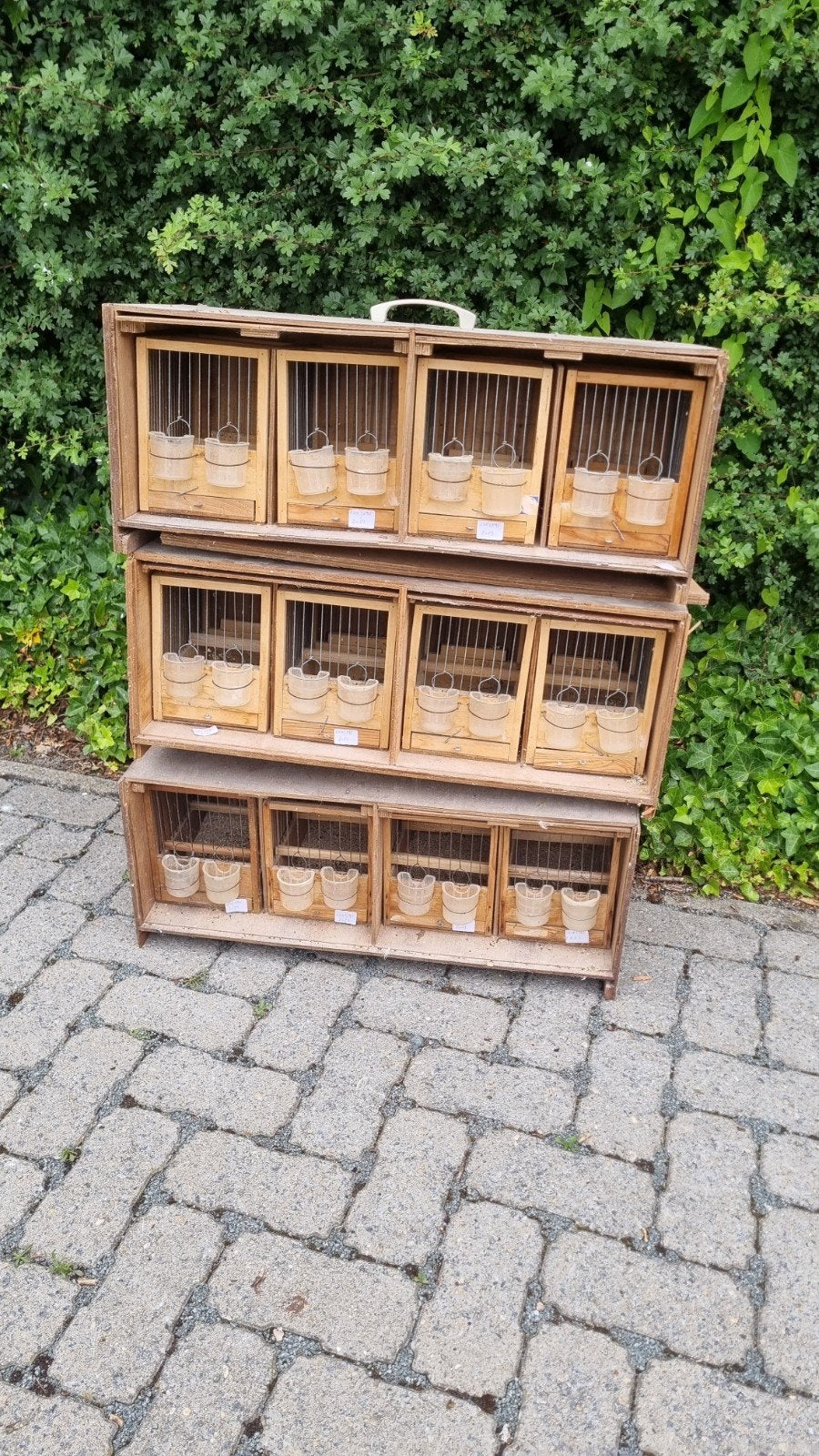 Zangkooien, Dieren en Toebehoren, Ophalen