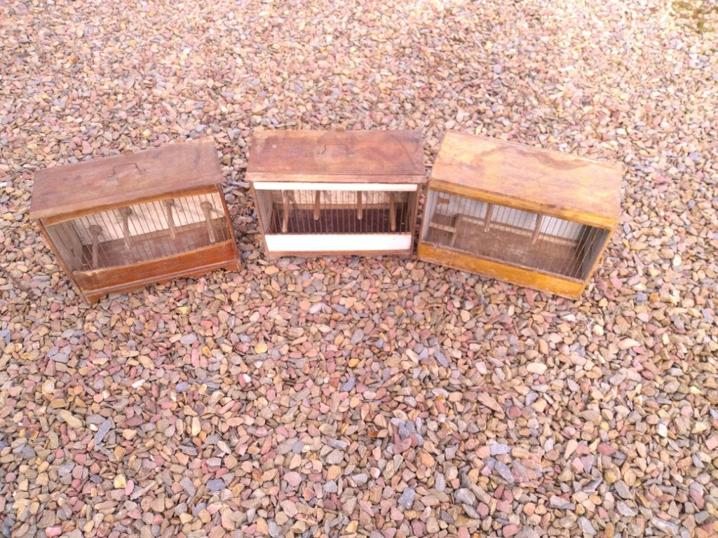 3 cages a pinsons vintage, Enlèvement ou Envoi