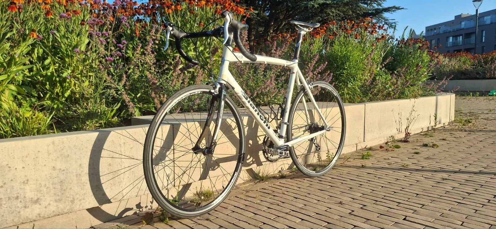 Bianchi Nirone Alu Hydro 7 Racefiets – Shimano Sora/Tiagra, 28 inch, Gebruikt, Aluminium, Meer dan 20 versnellingen