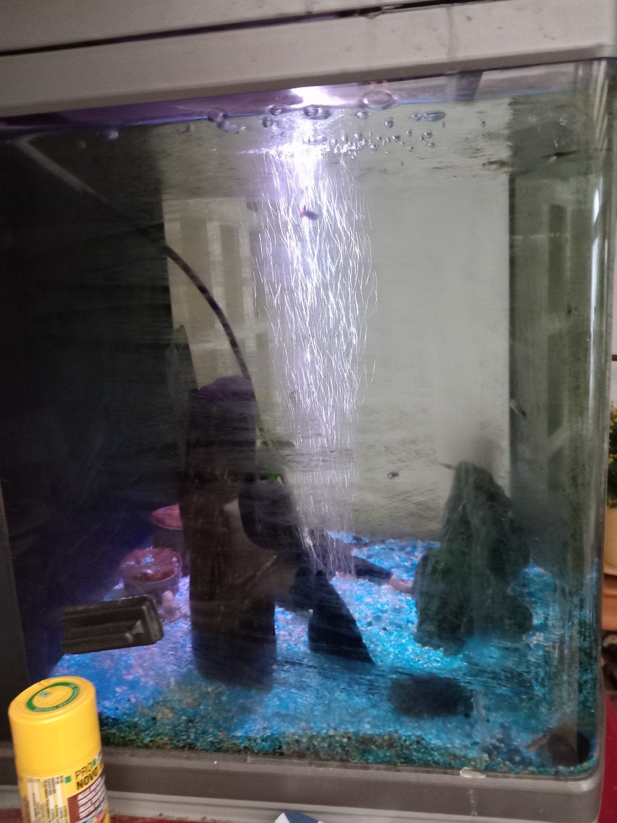 aquarium te koop, Dieren en Toebehoren, Ophalen