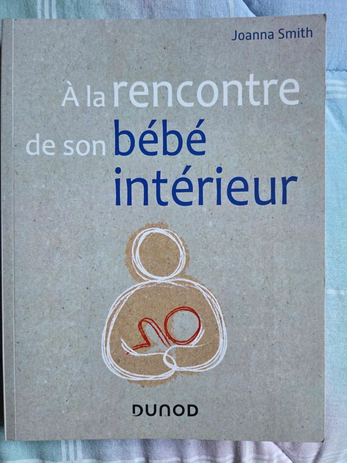 vends 238 livres de développement personnel sur Vinted, Enlèvement ou Envoi