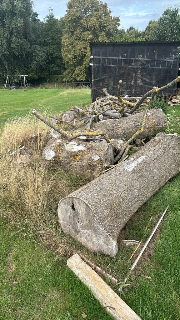Brandhout, Tuin en Terras, Ophalen