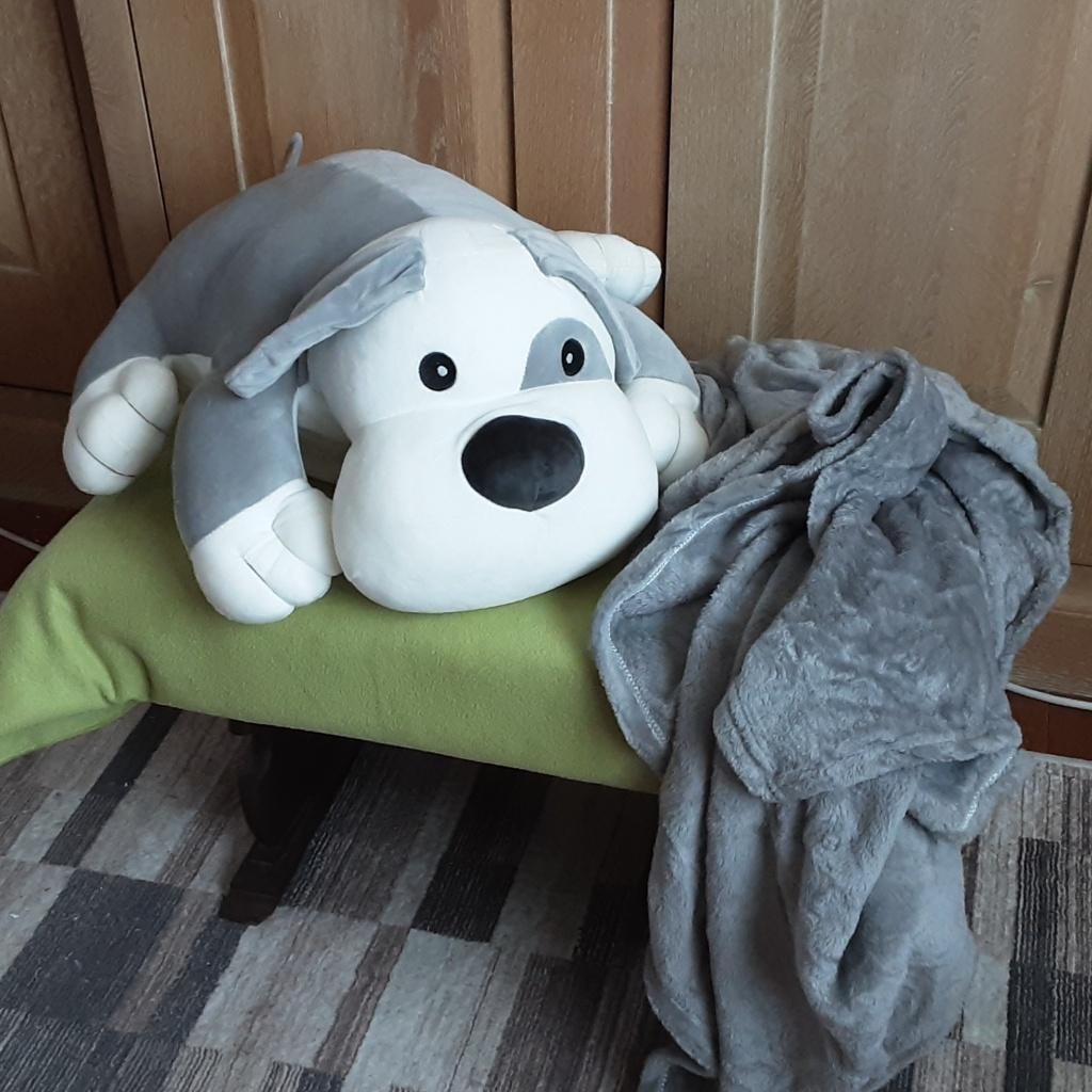 SPLINTERNIEUW KUSSEN + PLAID = superschattige knuffel hondje, Ophalen of Verzenden, Nieuw
