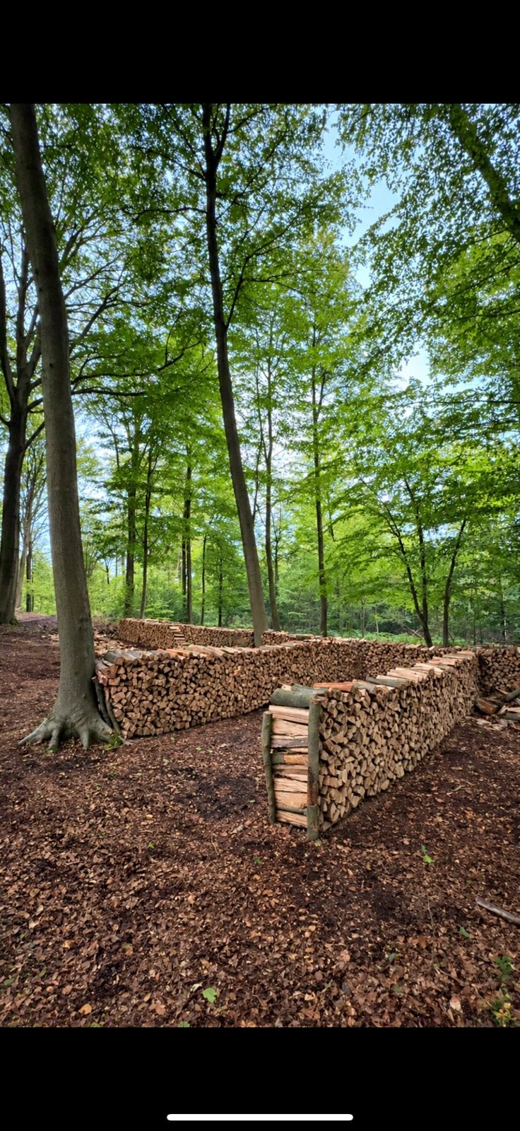 Bois de chauffage dur, 6 m³ ou plus, Enlèvement ou Envoi, Hêtre, Bûches