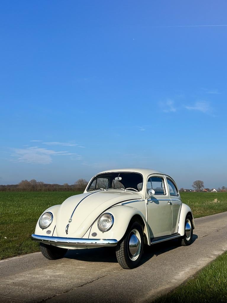 VW Coccinelle 1200, année 1957, en parfait état + garantie, Autos, Achat, Beige, Entreprise, Garantie prolongée