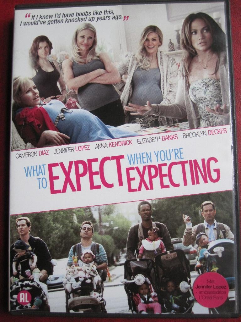 What to Expect When You're Expecting (2012), Alle leeftijden, Ophalen of Verzenden, Zo goed als nieuw, Romantische komedie