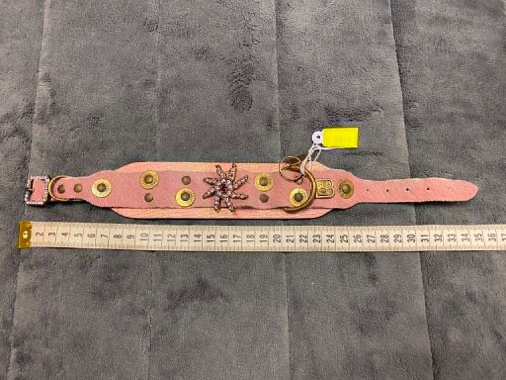 Luxe halsband aan outletprijsje !, Enlèvement ou Envoi, Neuf