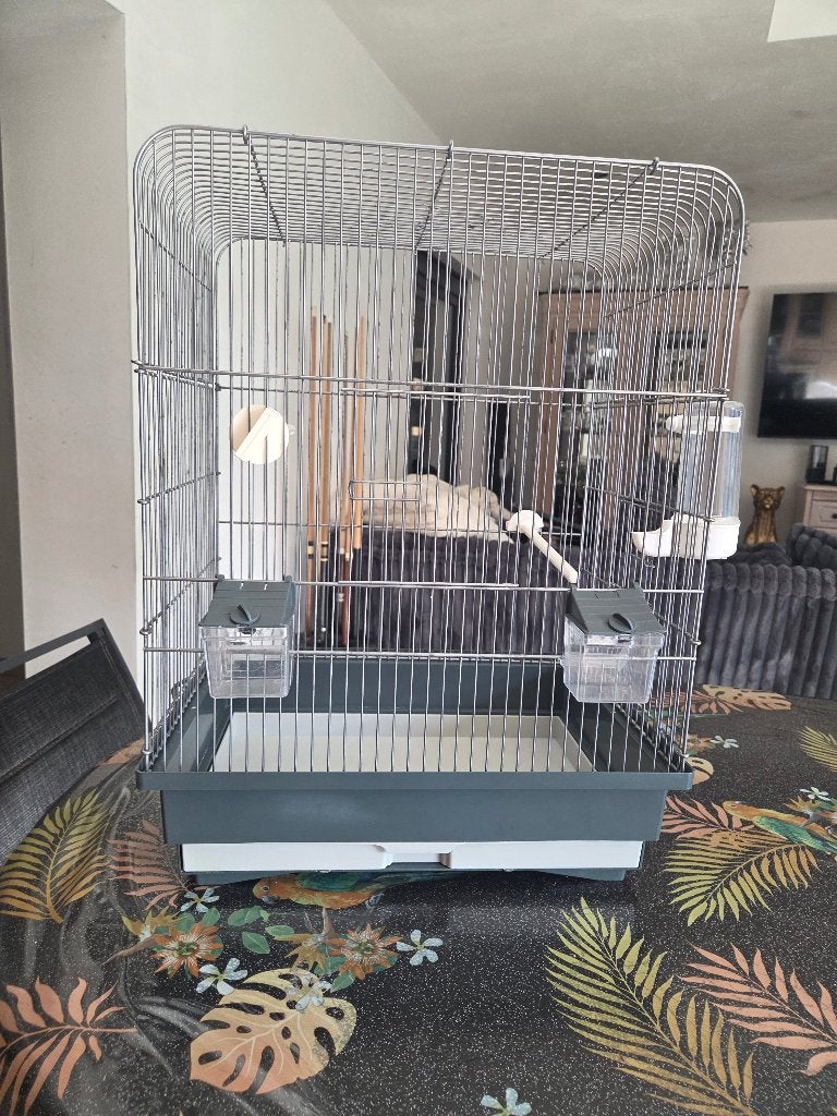 Grande cage à oiseau grise, Animaux & Accessoires, Enlèvement, Comme neuf