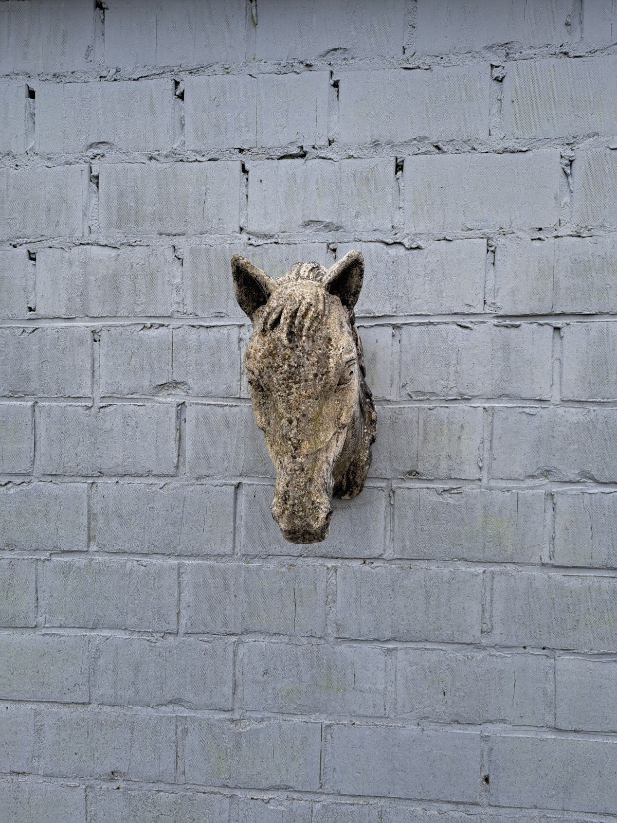 Paarden Kop van steen en zwaar.echt mooije, Enlèvement