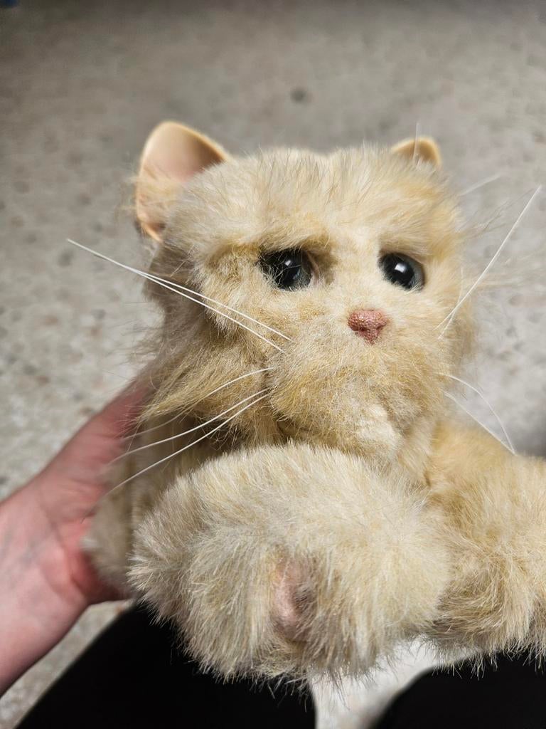 2002 Furreal Friends Kitten, Ophalen