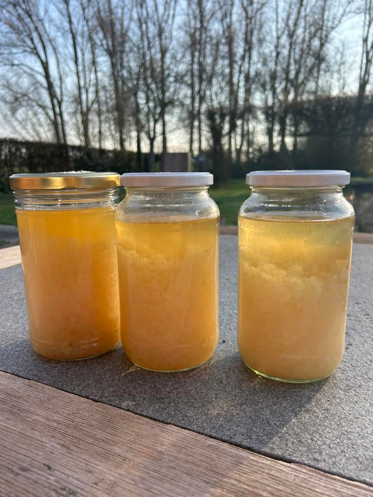 Water kefir korrels, Diversen, Levensmiddelen, Ophalen