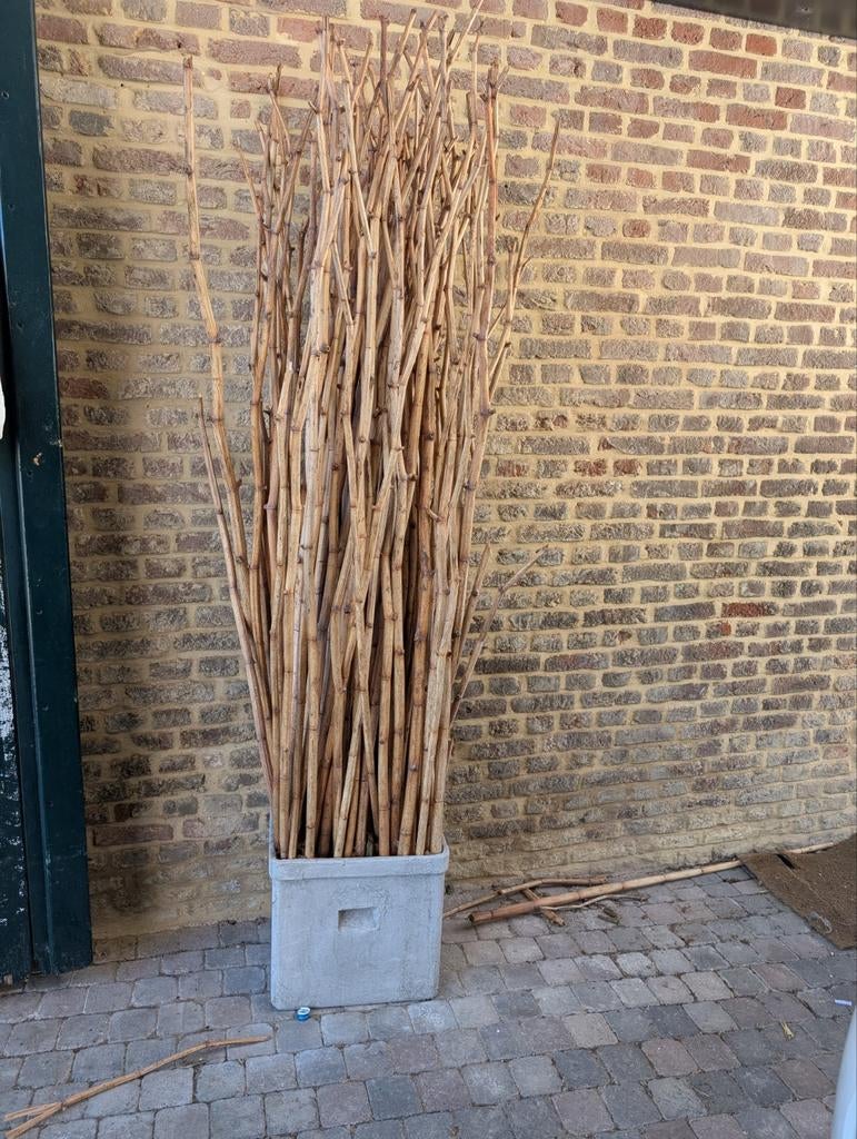 deco, Enlèvement