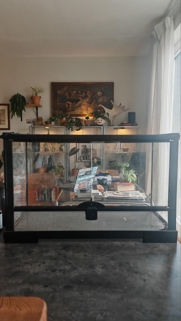 Terrarium 25x30x50, Dieren en Toebehoren, Ophalen