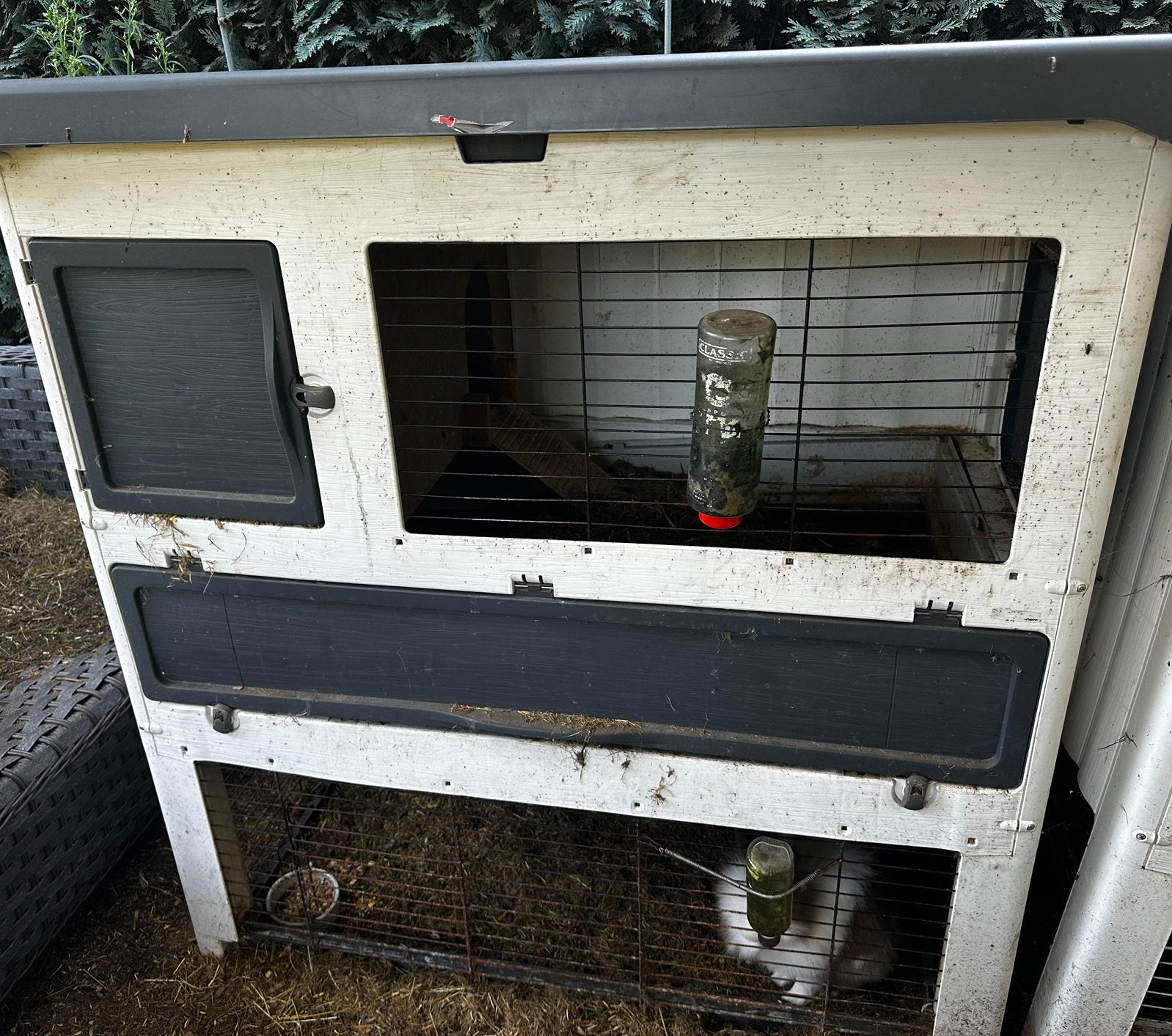 Cage extérieure Ferplast avec 2 lapins, mâle et femelle, Enlèvement, Utilisé, Niche