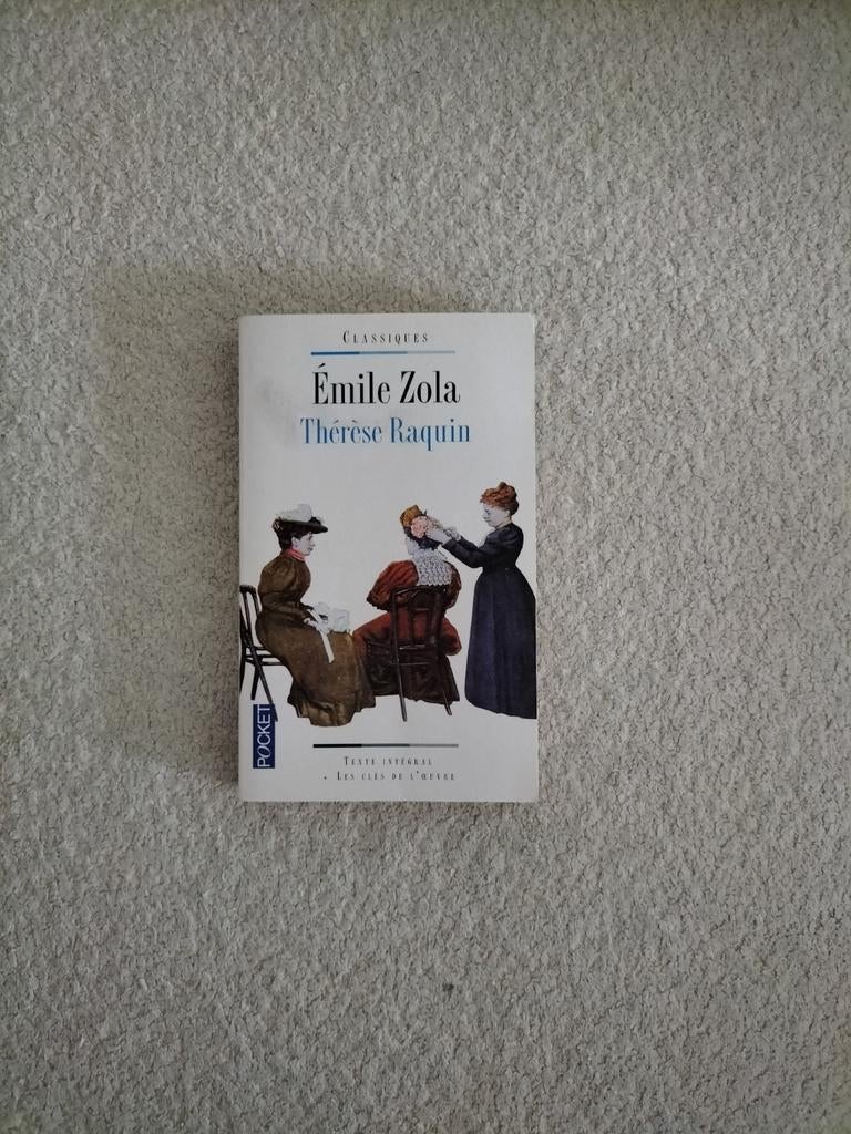 livres en français différents variétés, Ophalen of Verzenden, Gelezen, Europa overig