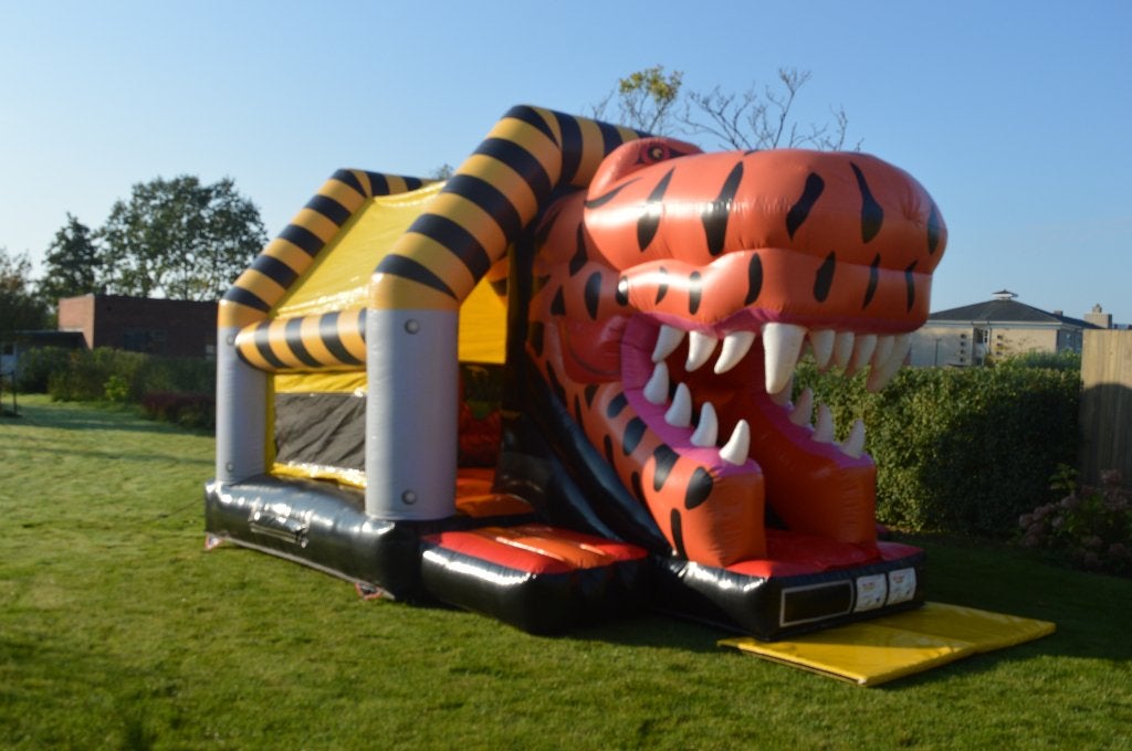 springkasteel Dino, Ophalen of Verzenden, Gebruikt