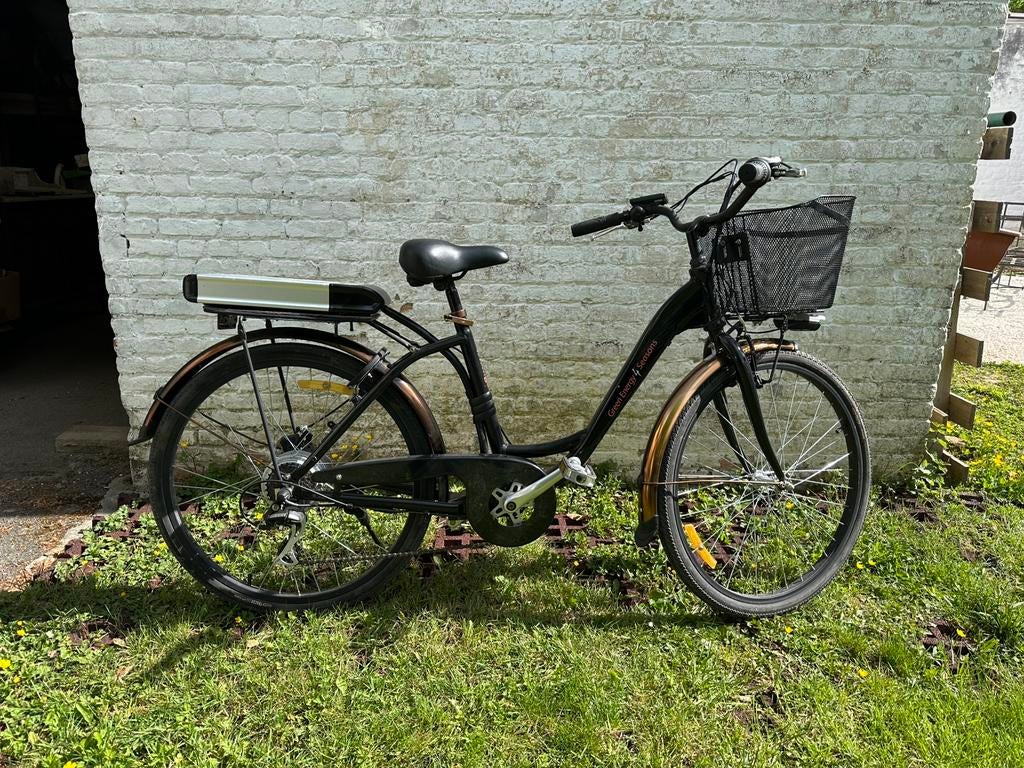 Elektrische fiets, Fietsen en Brommers, Minder dan 47 cm, Ophalen, Gebruikt, Overige merken