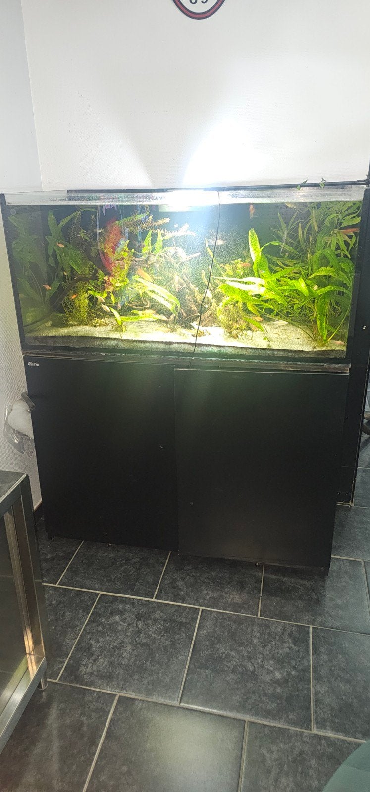 red sea 425xl, Animaux & Accessoires, Poissons | Aquariums & Accessoires, Red Sea