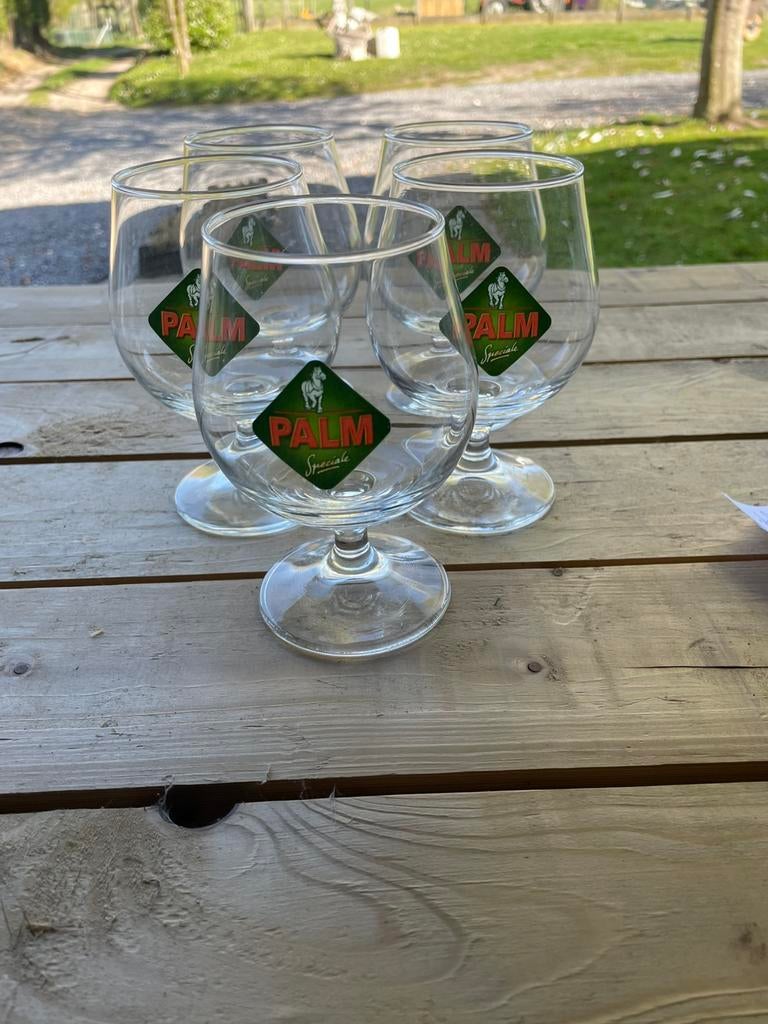 Bier glazen palm speciale, Verzamelen, Ophalen of Verzenden, Zo goed als nieuw