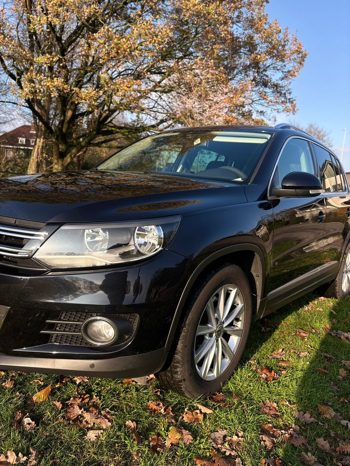 Volkswagen Tiguan, Autos, Bluetooth, Euro 5, Achat, Diesel