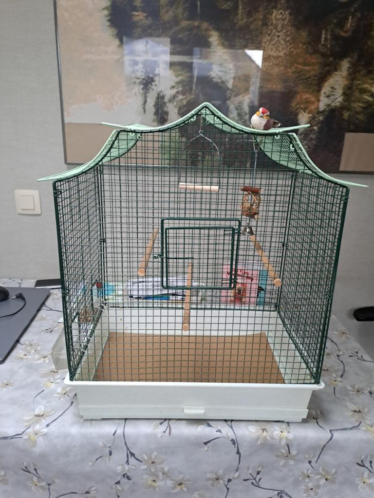 Vogelkooi lichtgroen/ groen maat voor parkiet  48 breed 50 h, Ophalen, Vogelkooi