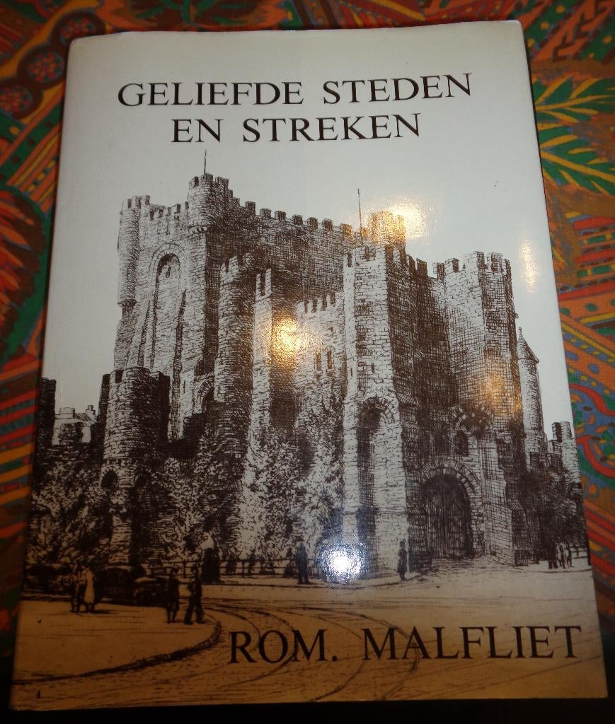 boek Romain Malfliet, Antiek en Kunst, Ophalen of Verzenden