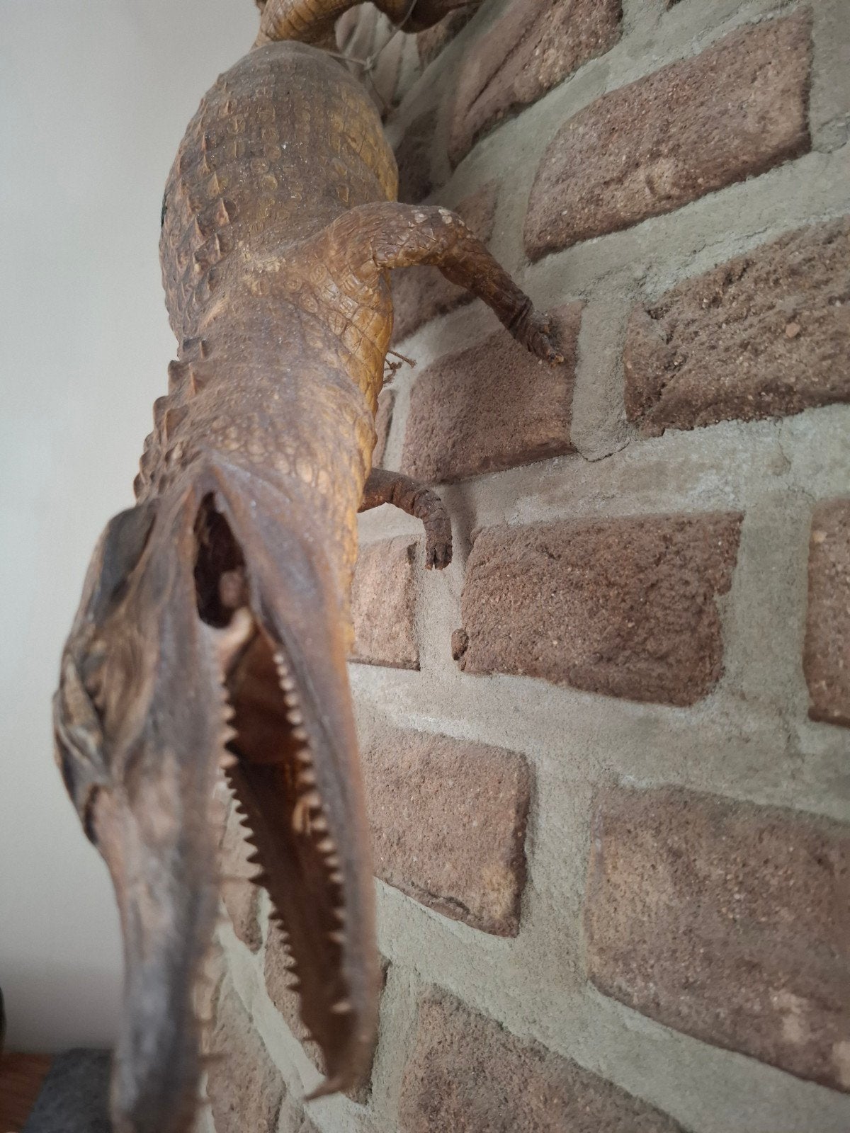crocodile en peluche des années 1940, Enlèvement