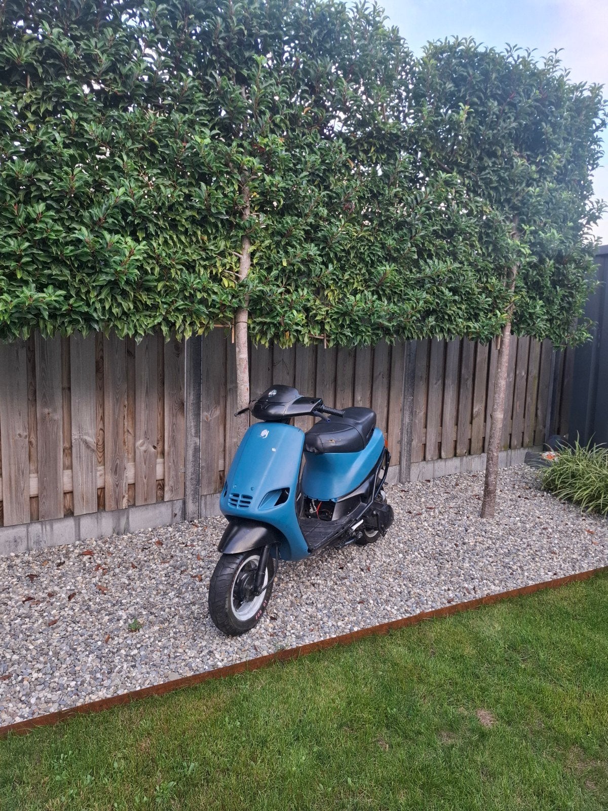 type te koop, Enlèvement