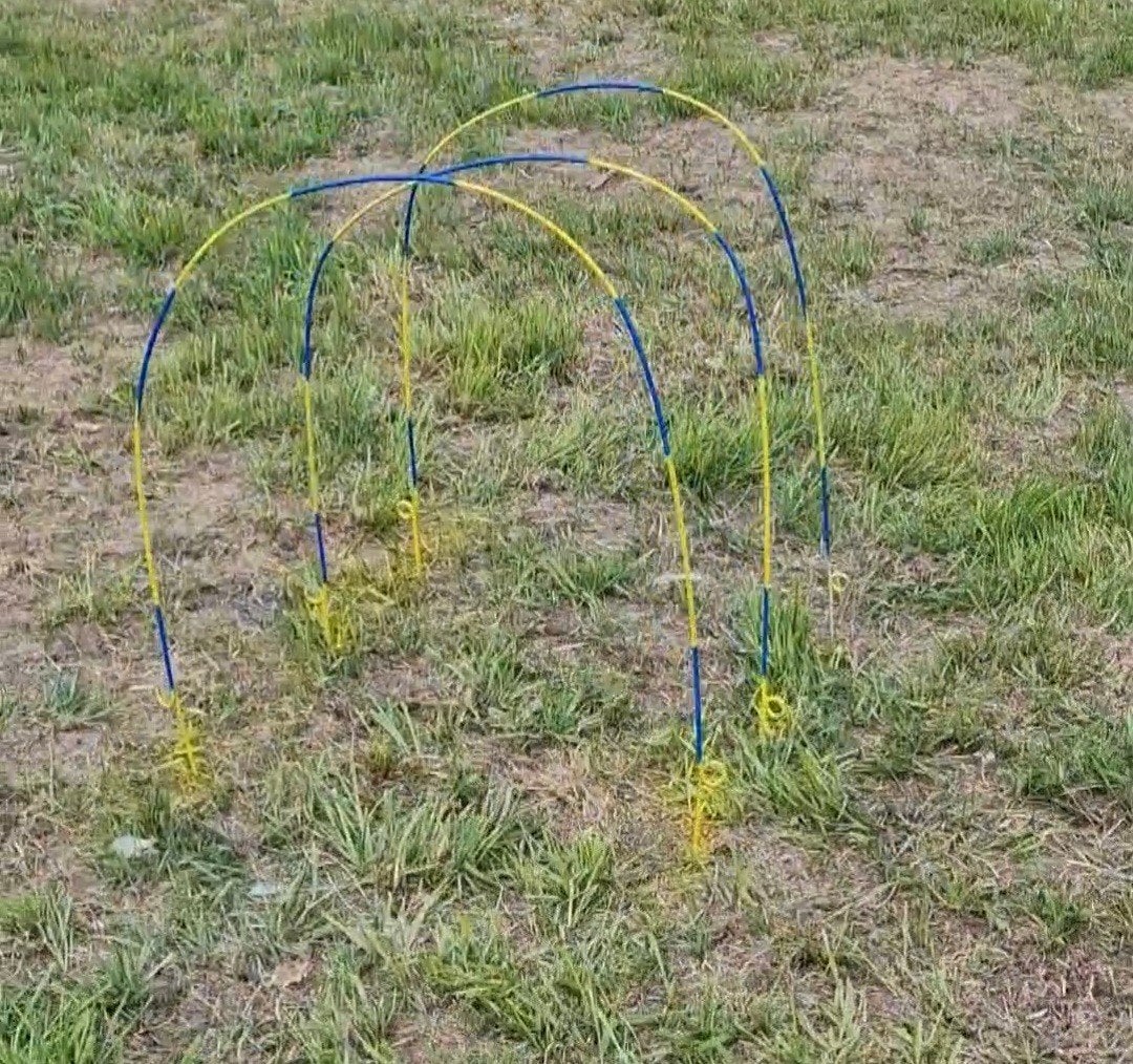Agility hoopers hond, Ophalen