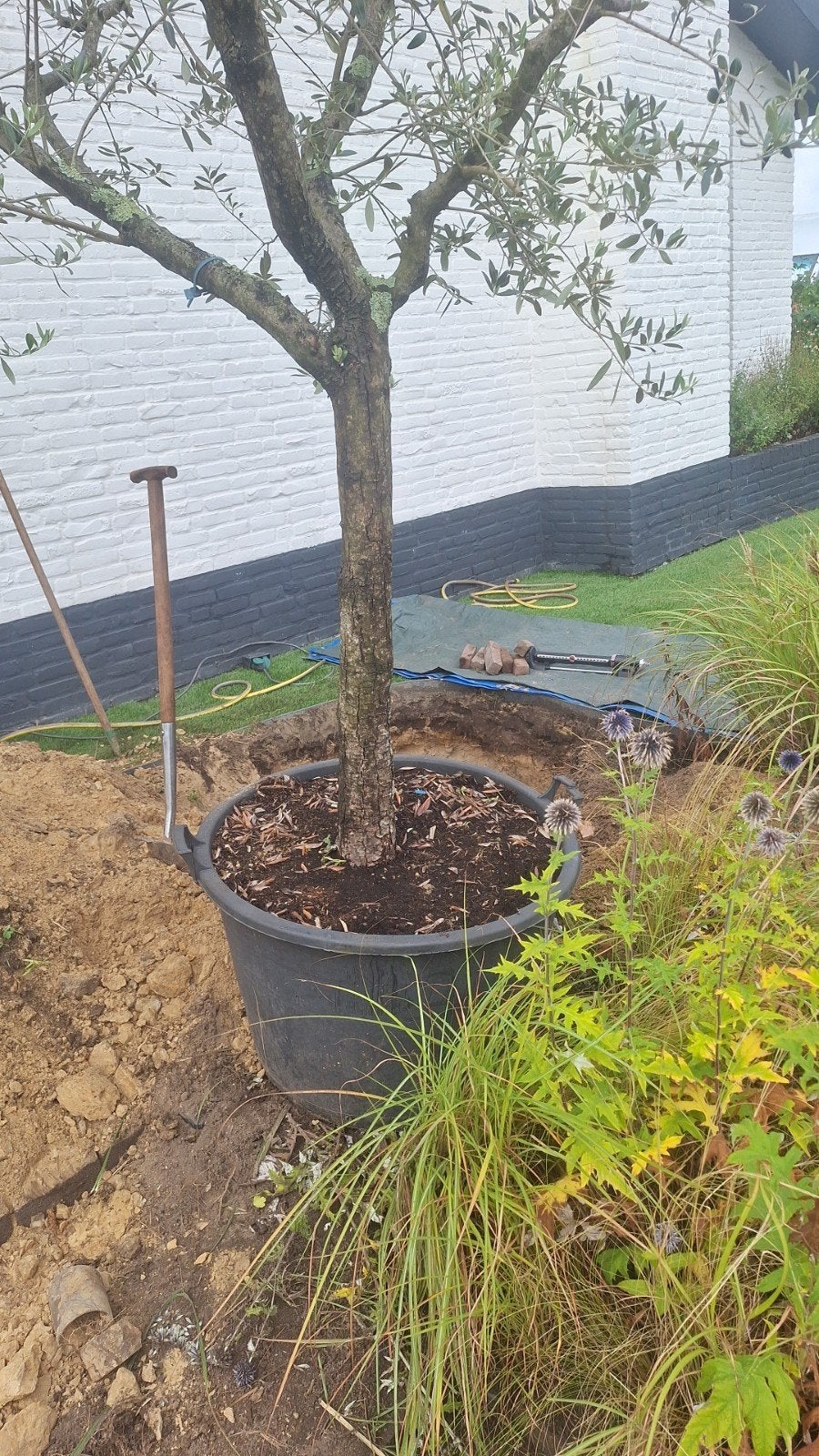 Tuinman aangeboden, Tuin en Terras, Ophalen of Verzenden