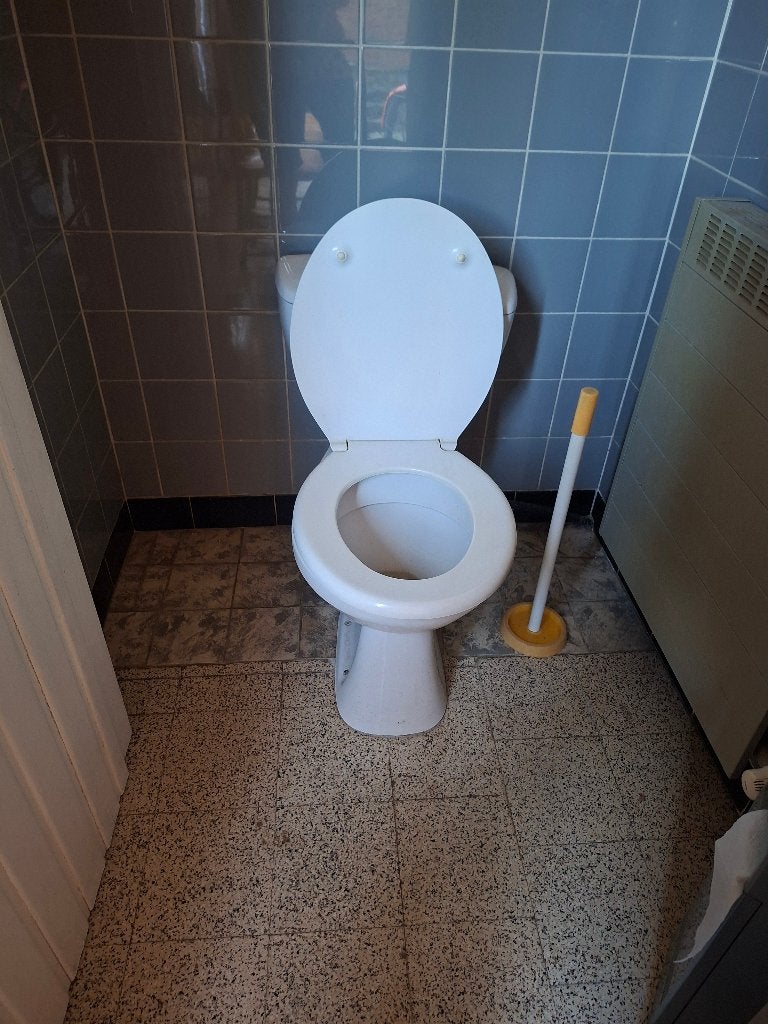 wc + lavabo, Enlèvement, Comme neuf, Toilettes