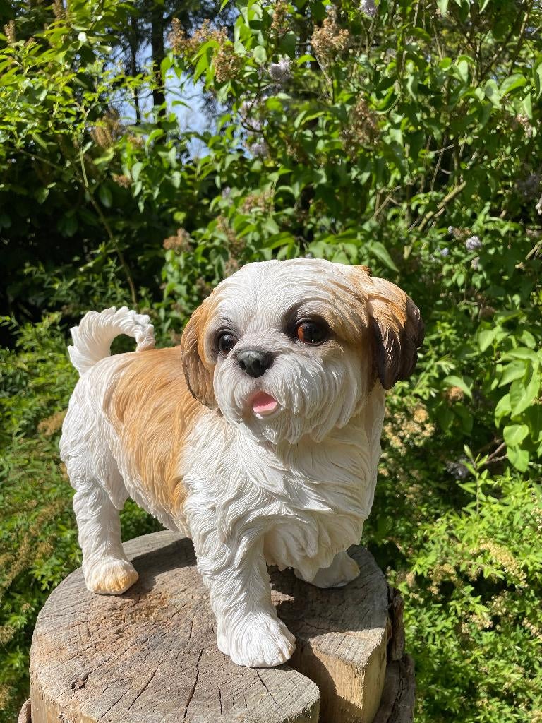 Chien Shih Tzu, chien de poche, jardin, pelouse 40 cm, Jardin & Terrasse, Statues de jardin, Neuf, Animal, Synthétique, Enlèvement