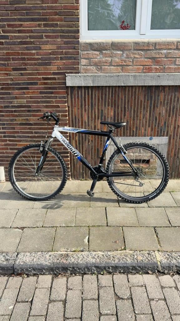 VTT, problème dérailleur et 1 pneu., Enlèvement