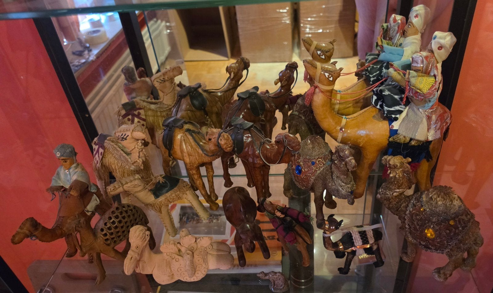 Collection de chameaux et de dromadaires, Enlèvement, Utilisé