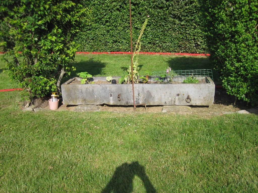 Auge, Pierre, 30 à 60 cm, Enlèvement, Utilisé