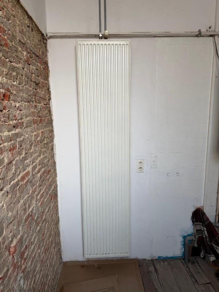 Paneelradiator 220 x 50, 800 watts ou plus, Moins de 60 cm, Enlèvement, Utilisé