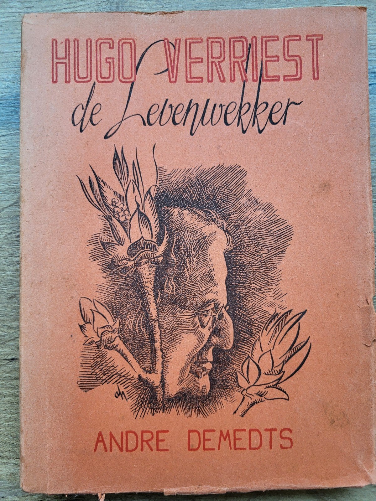 Hugo Verriest - door André Demedts, Ophalen of Verzenden, Gelezen