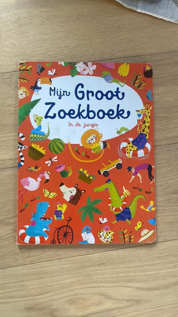 Mijn grote zoekboek, Garçon ou Fille, Enlèvement ou Envoi, Fiction général, Livre à déplier
