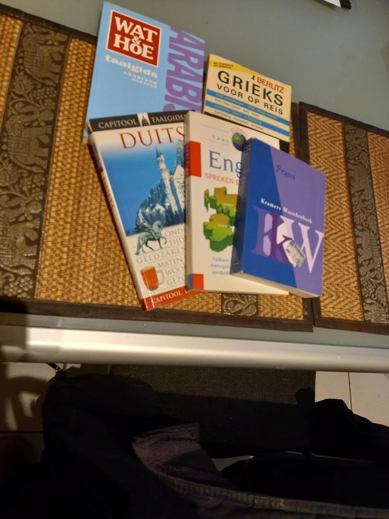 Taalgids, Boeken, Woordenboeken, Ophalen of Verzenden, Zo goed als nieuw, Overige uitgevers, Overige talen