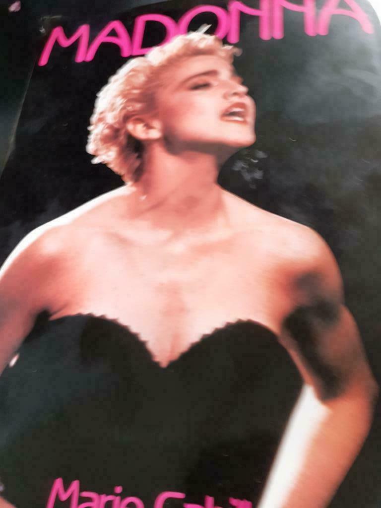 MADONNA livre marie cahill, Livres, Musique, Comme neuf, Artiste, Enlèvement ou Envoi